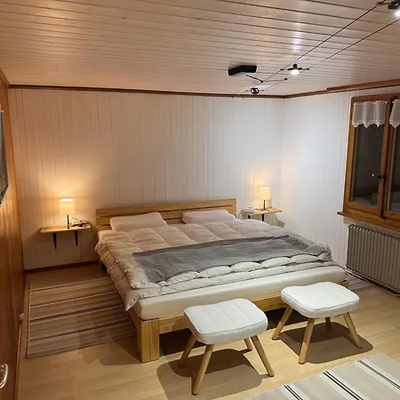 アパート Enzian 4 Zi In