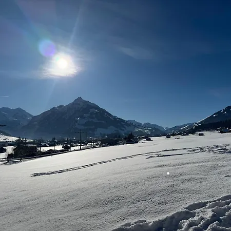 アパート Enzian 4 Zi In