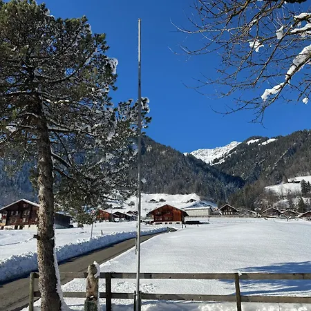 Enzian 4 Zi In * Frutigen