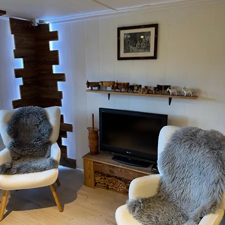 Enzian 4 Zi In * Frutigen